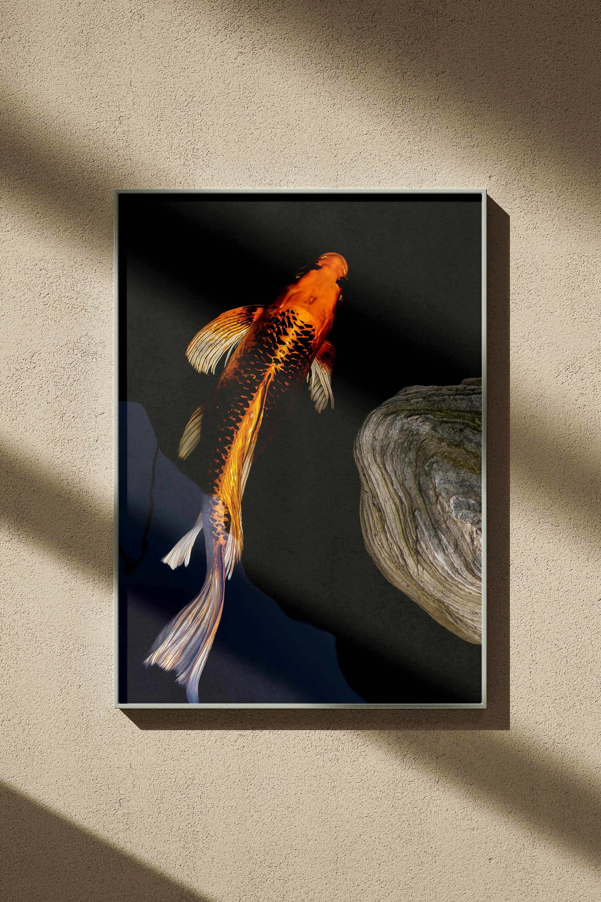Wavelength - Japanese Koi Fine Art — Tommy Lei Artist | Fine